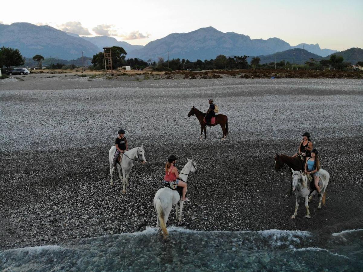 Hotel Berke Ranch&Nature Kemer Dış mekan fotoğraf