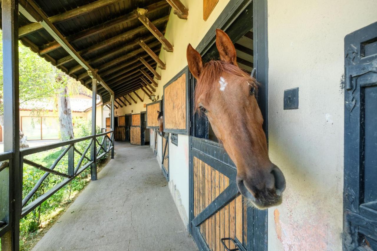 Hotel Berke Ranch&Nature Kemer Dış mekan fotoğraf