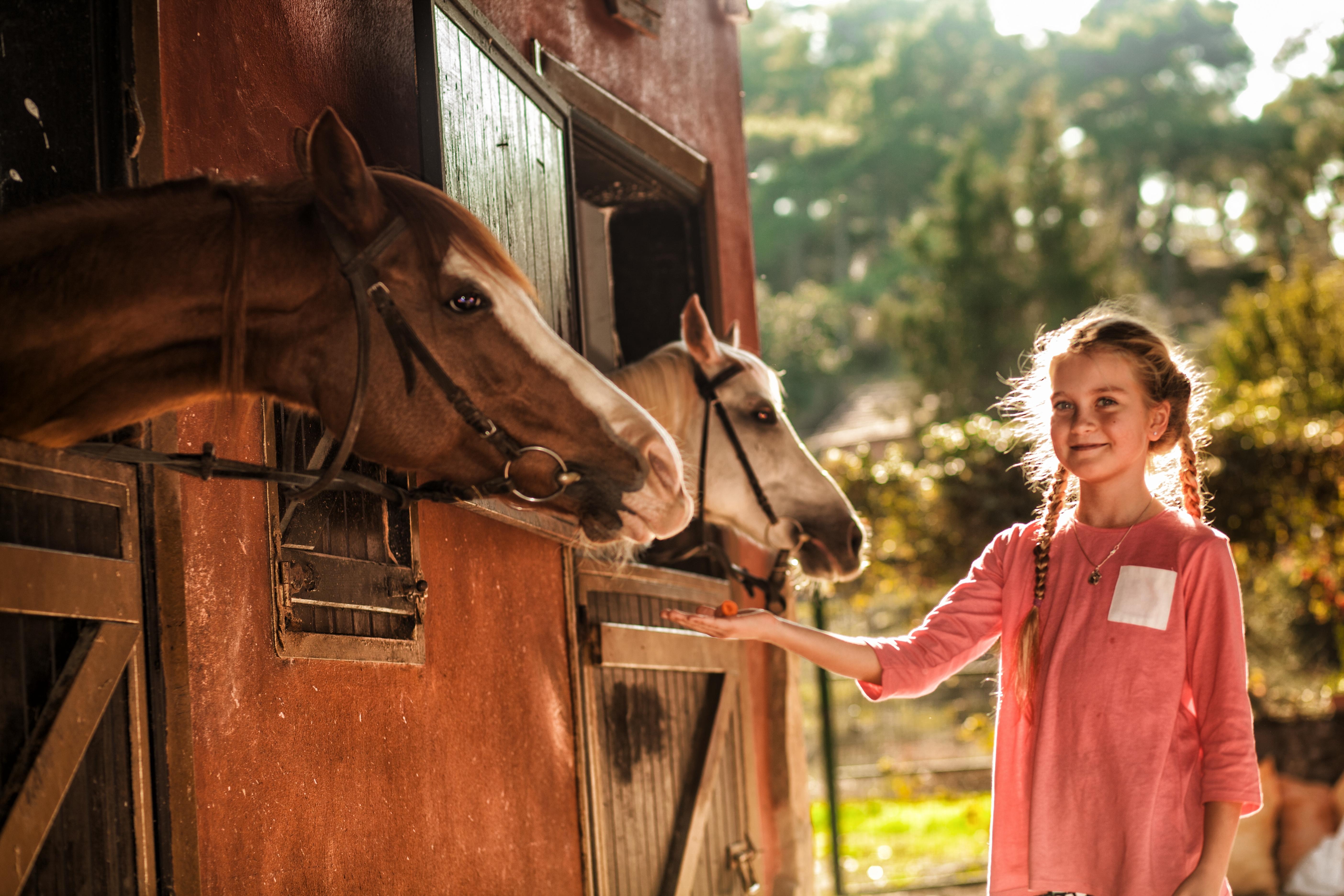 Hotel Berke Ranch&Nature Kemer Dış mekan fotoğraf