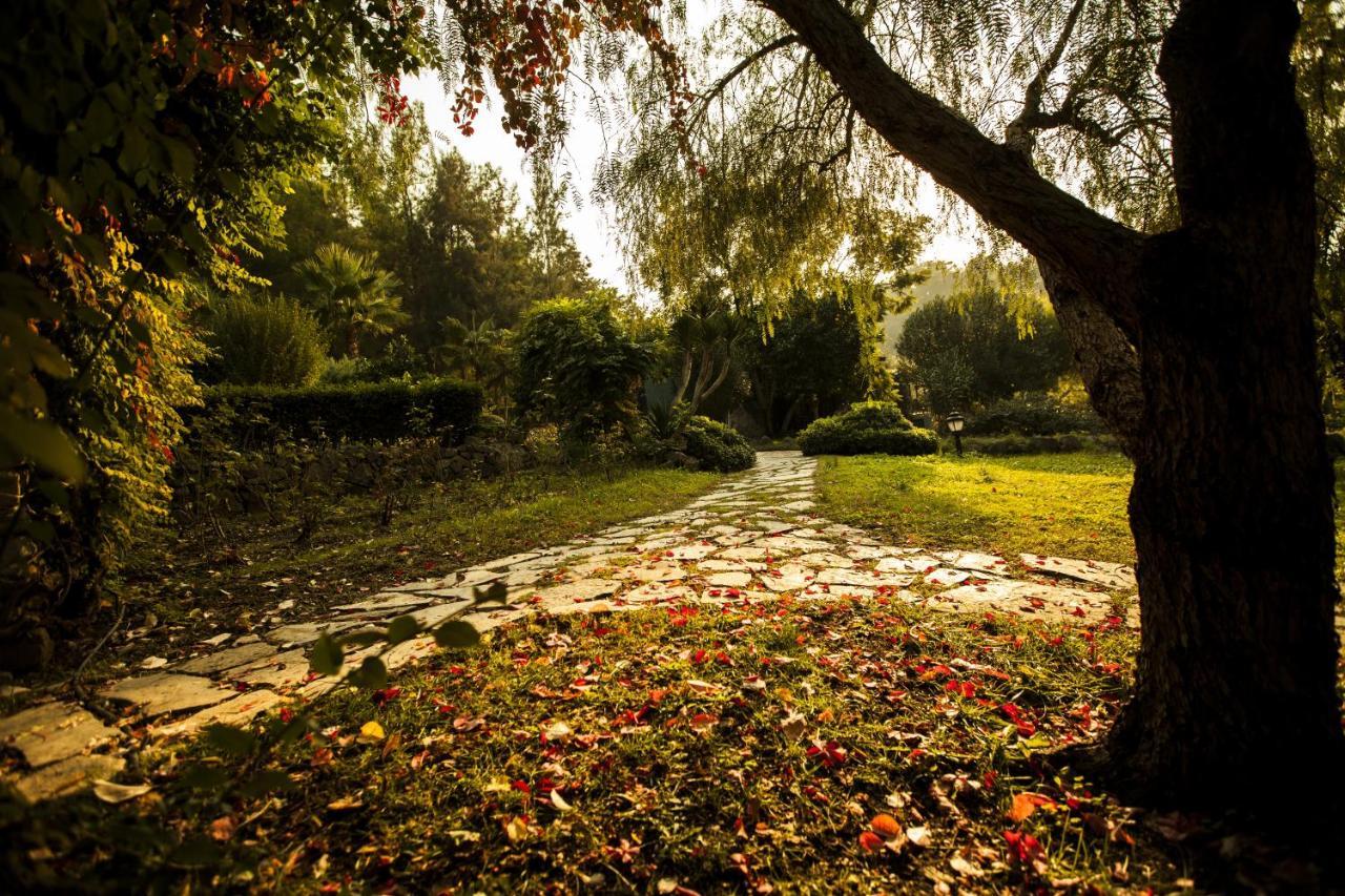 Hotel Berke Ranch&Nature Kemer Dış mekan fotoğraf