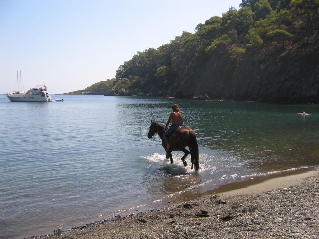 Hotel Berke Ranch&Nature Kemer Dış mekan fotoğraf