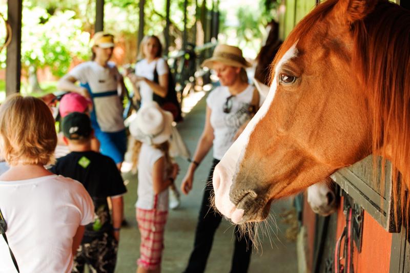 Hotel Berke Ranch&Nature Kemer Dış mekan fotoğraf